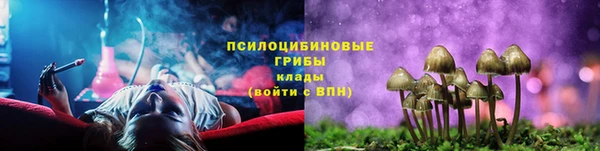 спайс Аркадак