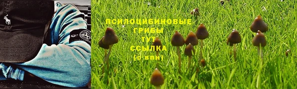 спайс Аркадак