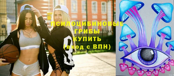тгк Новодвинск