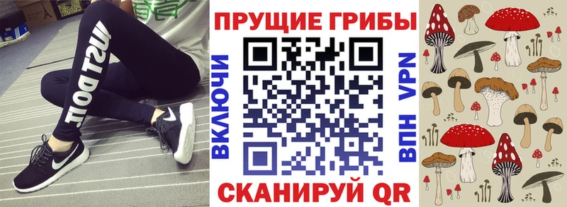 Галлюциногенные грибы ЛСД блэк спрут ТОР Себеж купить наркоту
